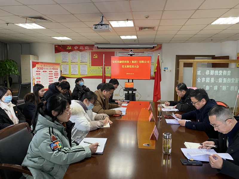 安庆市融资担保（集团）有限公司党支部成立大会顺利召开